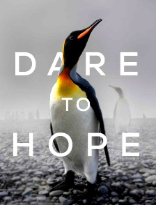 Dare to hope