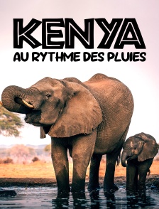 Kenya : au rythme des pluies