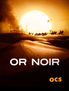 OCS - Or noir
