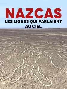 Nazcas, les lignes qui parlaient au ciel