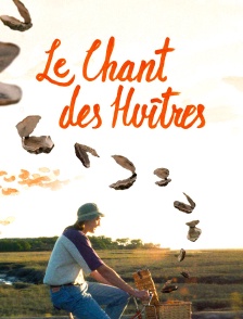 Le chant des huîtres