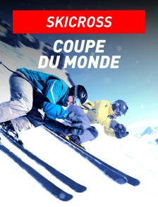 Skicross : Coupe du monde