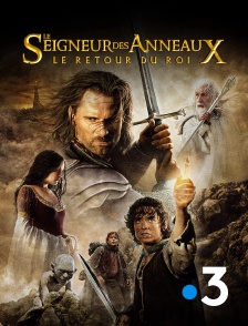 France 3 - Le seigneur des anneaux : le retour du roi