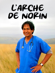 L'Arche de Norin