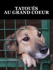 Tatoués au grand coeur