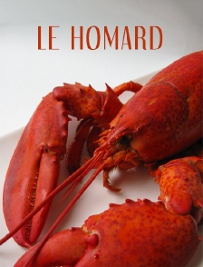 Le homard