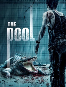 The Pool