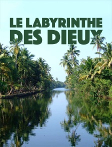 Le labyrinthe des dieux
