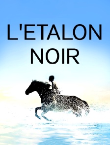 L'étalon noir