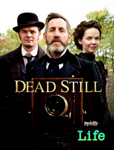 Molotov Channels Life - Dead Still