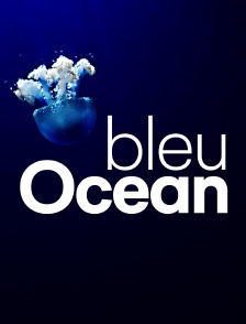 Bleu océan