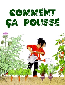 Comment ça pousse