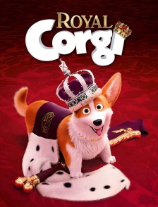 Royal Corgi
