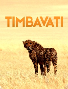 Timbavati