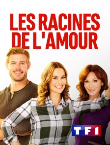 TF1 - Les racines de l'amour