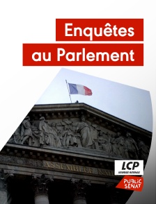 LCP Public Sénat - Enquêtes au Parlement
