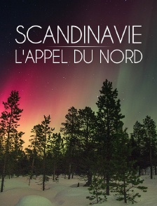 Scandinavie, l'appel du Nord