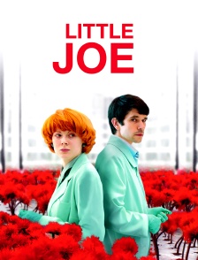 Little Joe