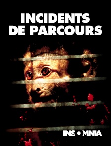 INSOMNIA - Incidents de parcours en replay