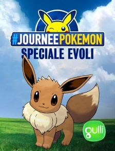 Gulli - La journée des Pokémon : Spécial Évoli