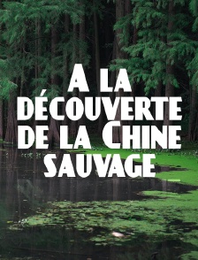 A la découverte de la Chine sauvage