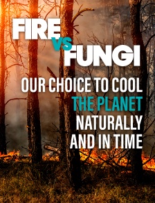 Fire vs Fungi: our choice to cool the planet naturally and in time