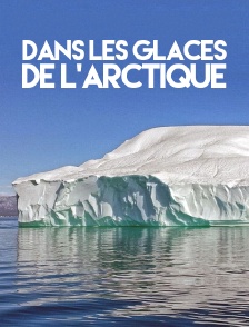 Dans les glaces de l'Arctique