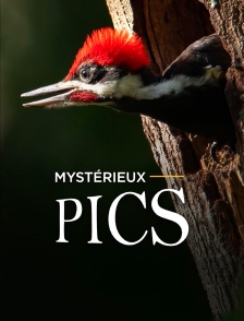 Mystérieux pics