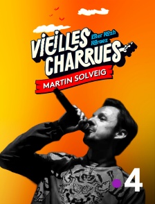 France 4 - Martin Solveig aux Vieilles Charrues