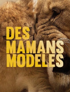 Des mamans modèles