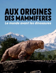 Aux origines des mammifères, le monde avant les dinosaures