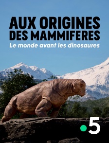 France 5 - Aux origines des mammifères, le monde avant les dinosaures