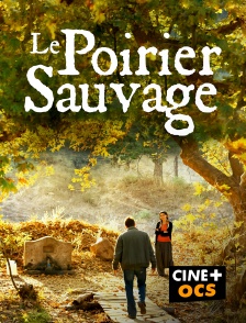 CINÉ Cinéma - Le poirier sauvage