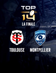 Top 14 - Finale : Toulouse / Montpellier - 2025-2026
