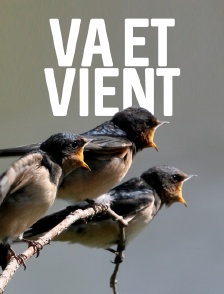 Va et vient