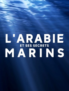 L'Arabie et ses secrets marins