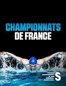 Natation - Championnats de France