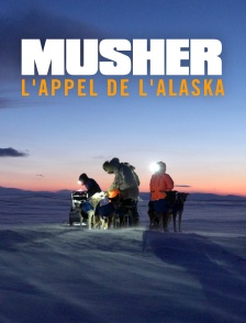 Musher, l'appel de l'Alaska
