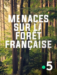 Menaces sur la forêt française