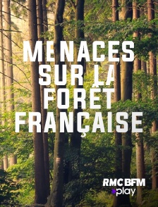 Menaces sur la forêt française