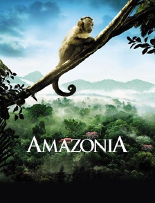 Amazonia
