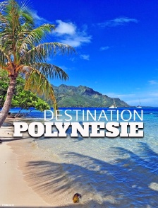 Destination Polynésie