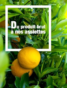 Du produit brut à nos assiettes