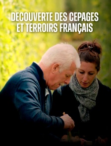 Découverte des cépages et terroirs français