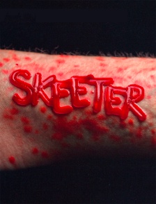 Skeeter