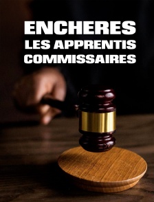 Enchères : les apprentis commissaires