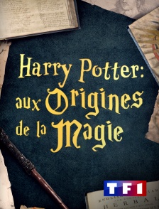 TF1 - Harry Potter : aux origines de la magie