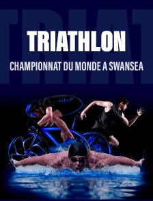 Triathlon - Championnat du monde à Swansea