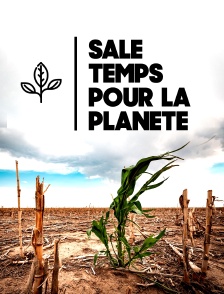 Sale temps pour la planète