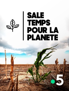 Sale temps pour la planète